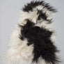 ICELANDIC SHEEPSKIN RUGS